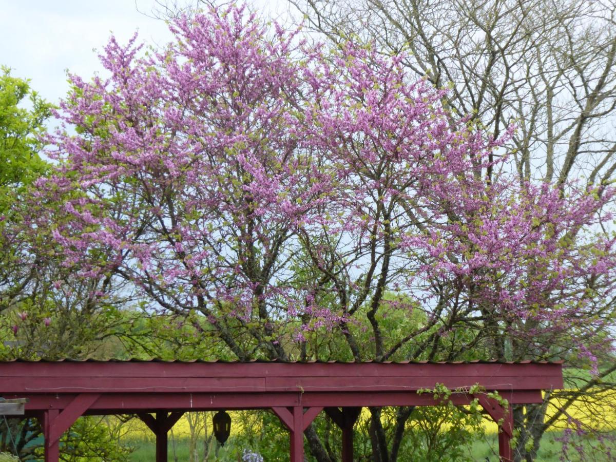 Chalet Aux Pied Des Vignes Montigny  外观 照片
